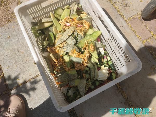 厨余堆肥那些事
