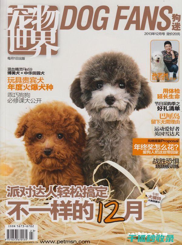 宠物驱虫周期：如何避免常见错误 (宠物驱虫周期多久)