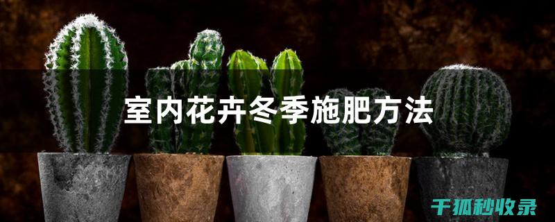 花卉施肥吗