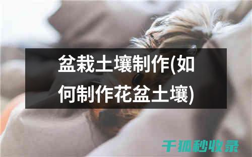 盆栽土壤配比：适合不同光照条件植物的配方指南 (盆栽土壤配比标准)