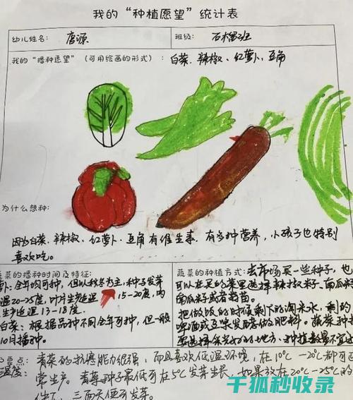 适合不同条件的配方指南