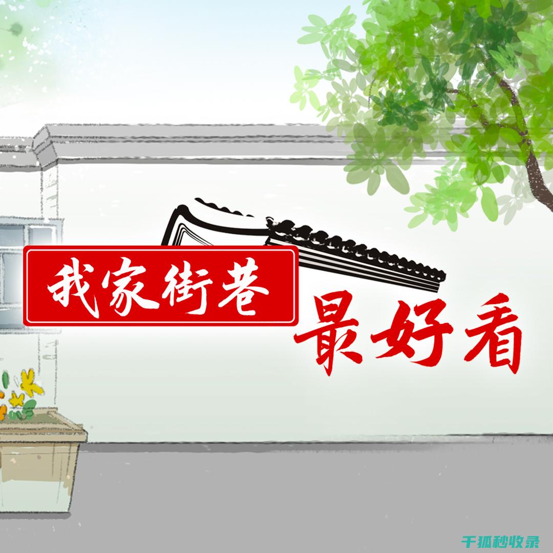 从街头到家园：流浪动物救助的温暖旅程 (从街头到家园怎么走)