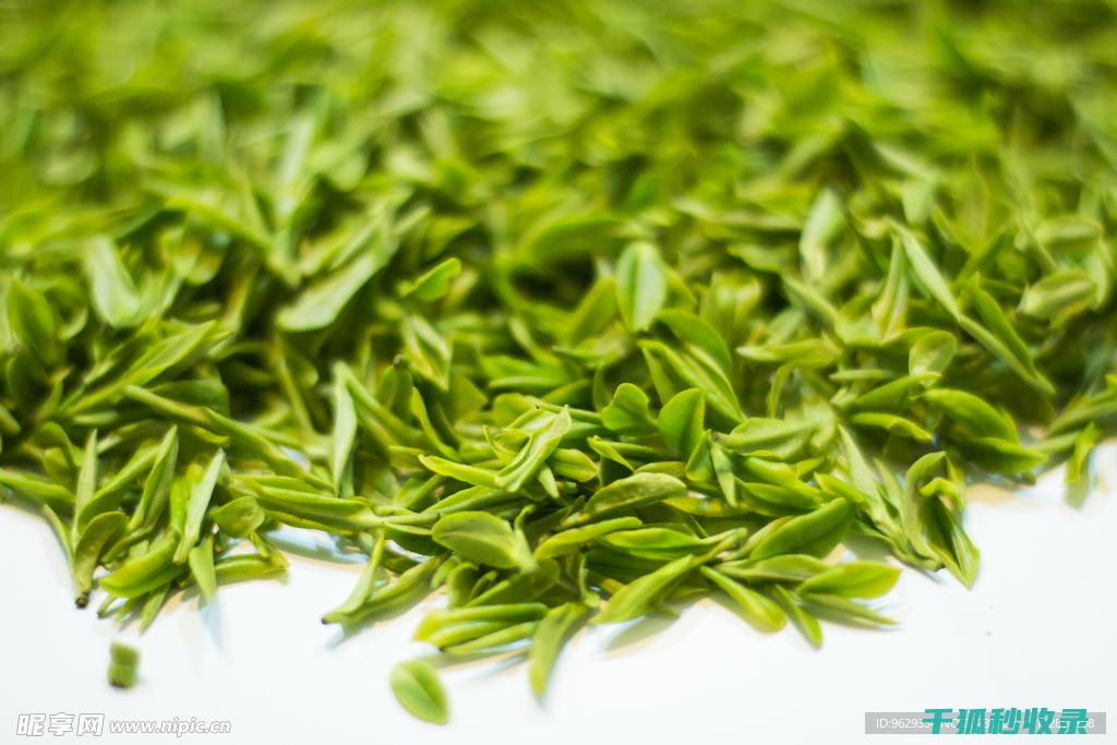 茶叶渣的生态循环：从废弃物到高附加值产品的转变 (茶叶渣的成分)