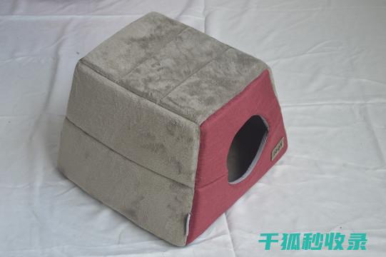 去除宠物窝中的霉点，保持宠物舒适环境 (去除宠物窝中的虫子)