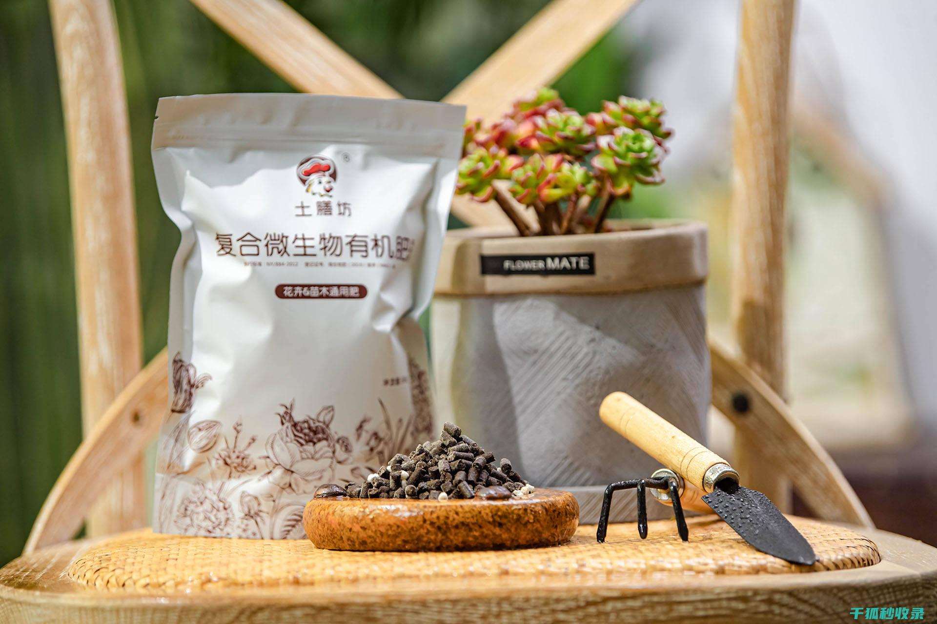 花瓶清洁与收藏价值的关系：如何维护珍贵藏品 (花瓶清洁与收纳的区别)