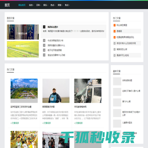 鸣琴而治网