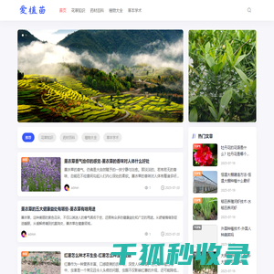 爱植苗